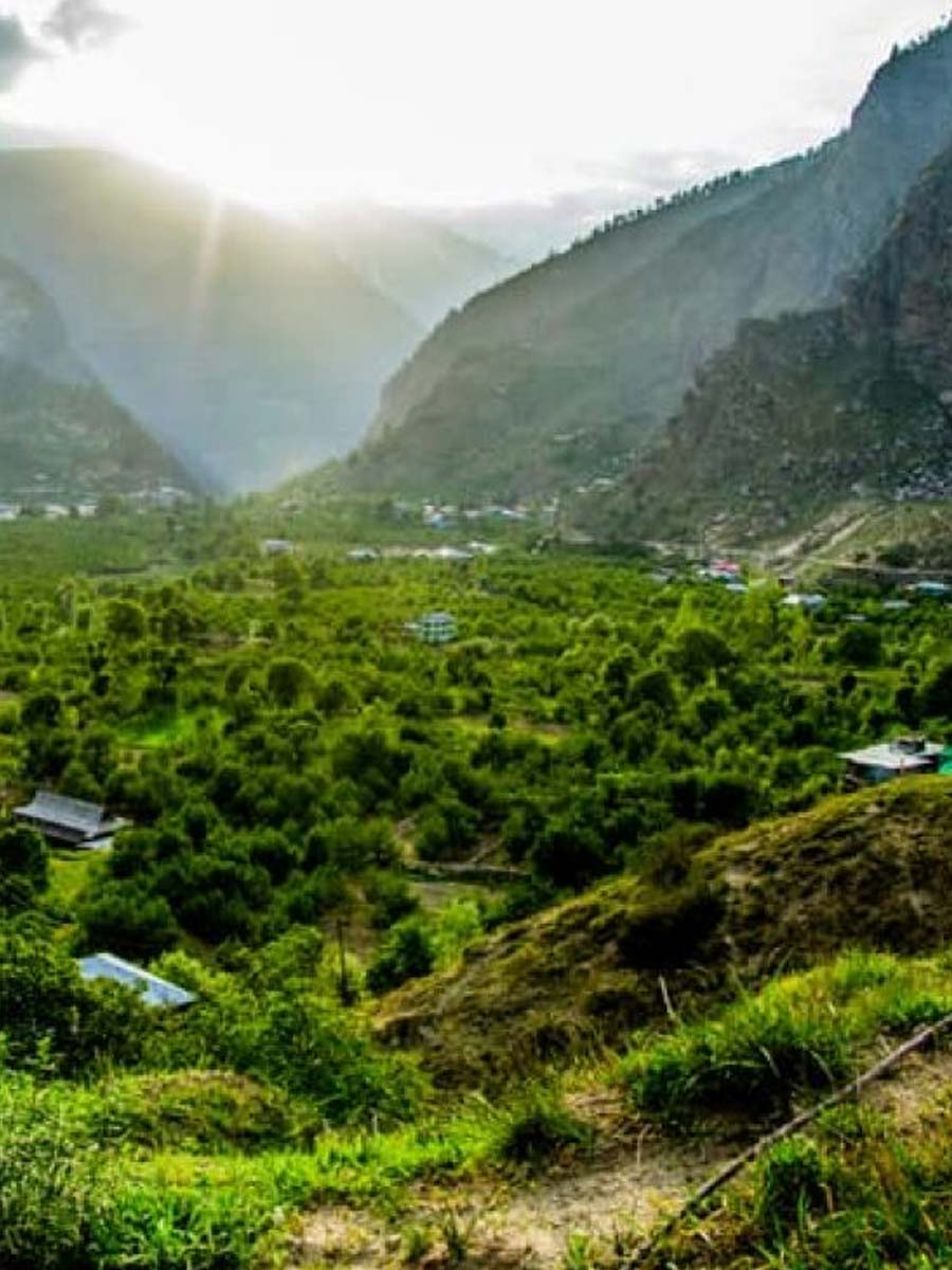 Lambasingi Resorts and Tour Packages